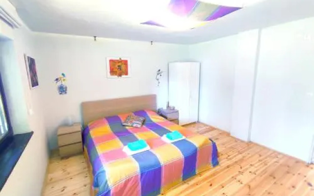 Apartments Eco Forest Resort