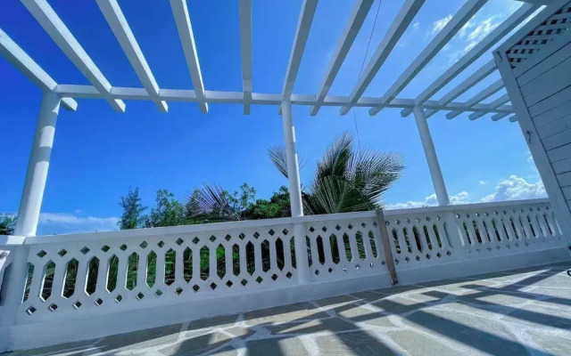 Silent Palms