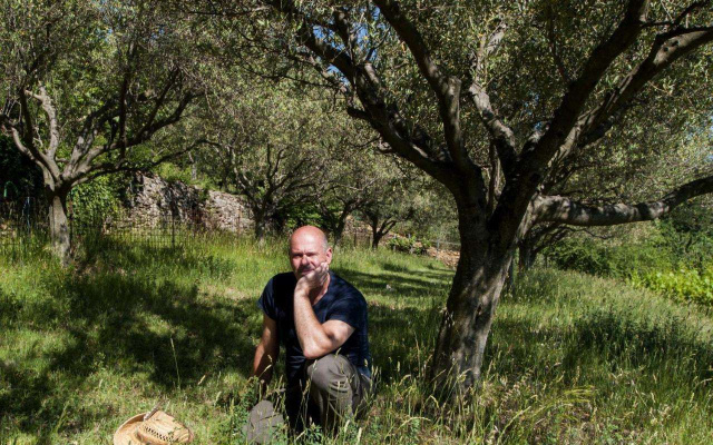 B&B Il Glicine