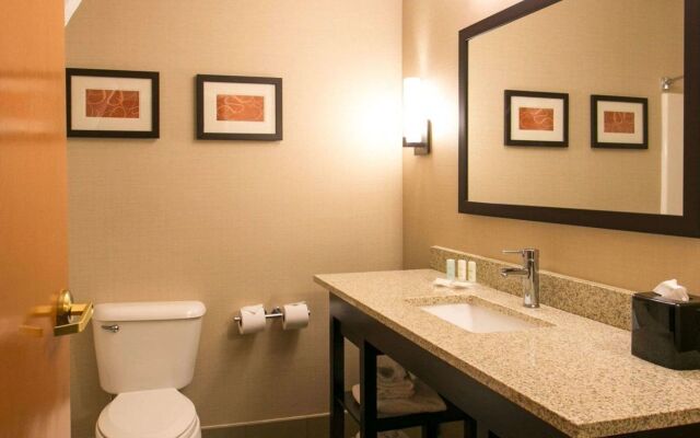 Comfort Suites Benton Harbor - St. Joseph