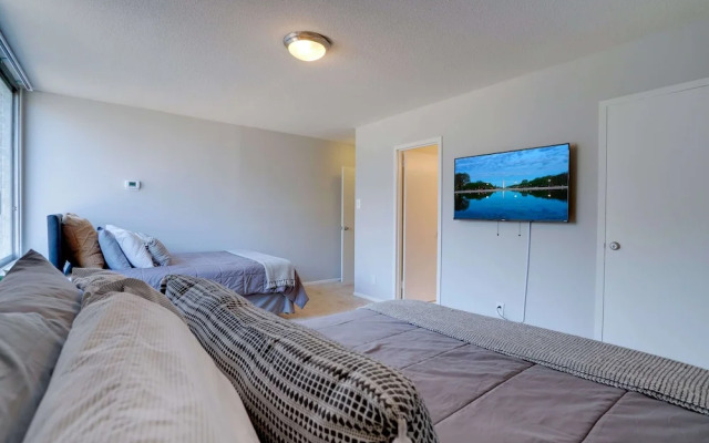 Beautiful & Spacious Apt in Crystal City