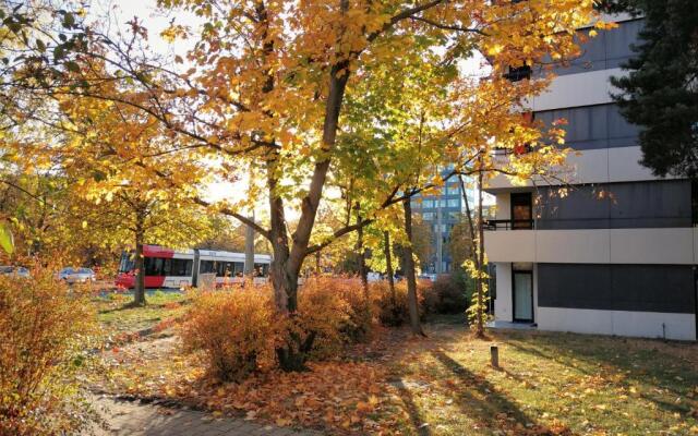 Central-Apt at Lake, CityCenter 5min, Fair 18min!!!