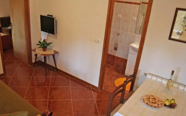 Apartment Vojskovic 101