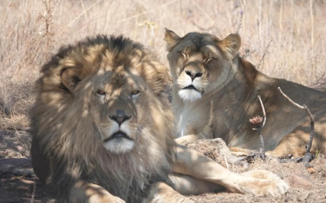 Shakama Private Game Lodge & Spa