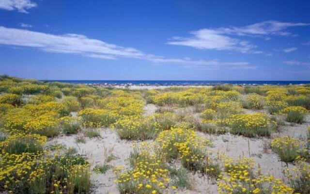 Campeggio Europa