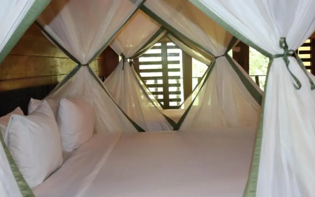 Hotel On Vacation Amazon