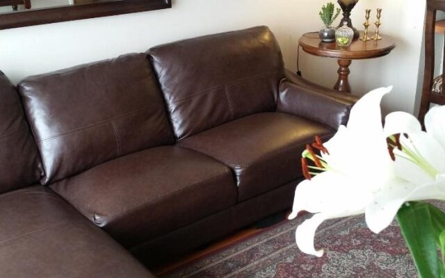 Departamentos Amoblados Costa Bellas Artes