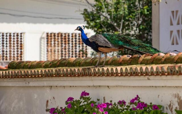 Quinta da Foz