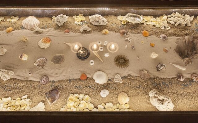 Aquamarina Hotel Boutique