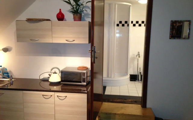 Metropolis Prague Apartments(Zlatý Dvůr)