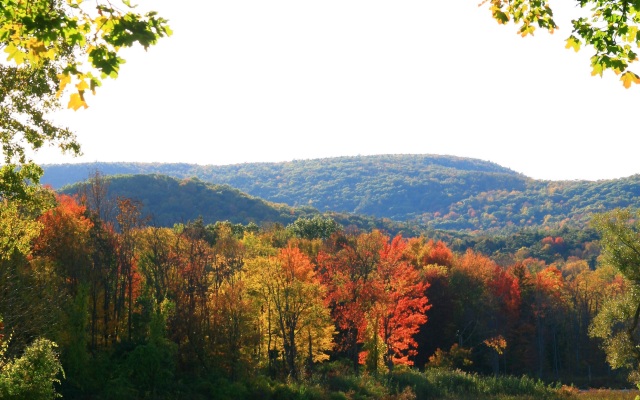 Hampton Inn & Suites Berkshires-Lenox