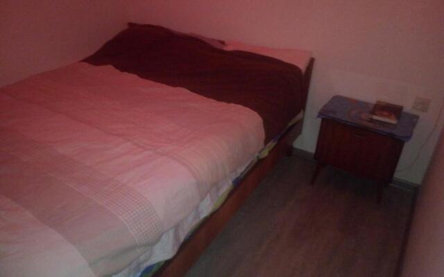 Temo S Home