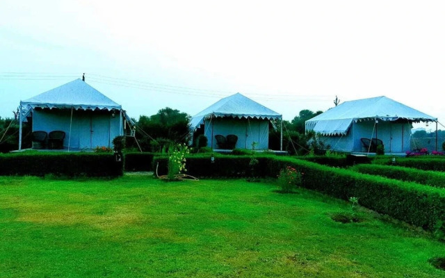 The Tiger Hill Sariska