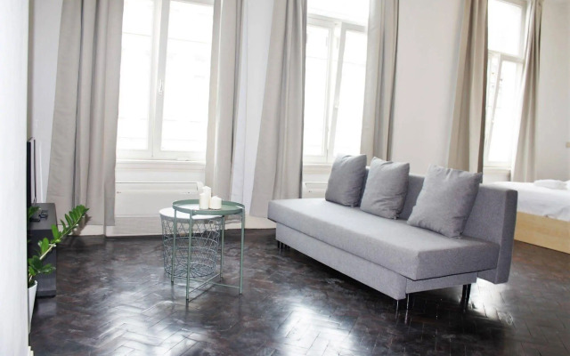 Traditional Modern Apartments