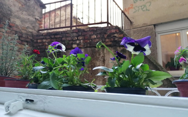 Central location for you