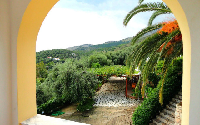 Dionysos Apartments