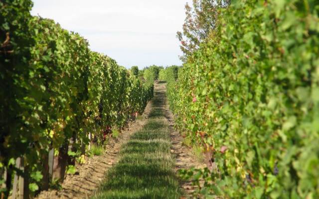 Château Latour Segur Suites & Spa