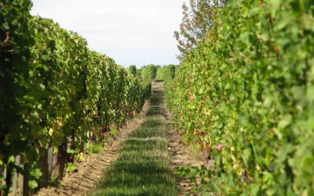 Château Latour Segur Suites & Spa