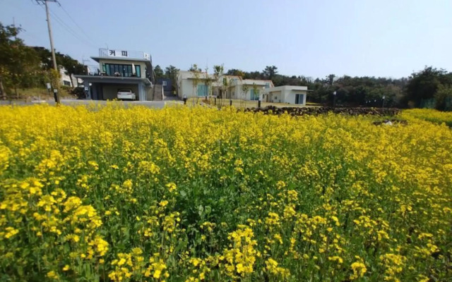 Jeju Bijarim Very Mung Pension