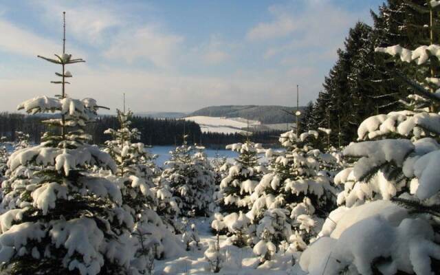 Quiet Apartment in Sauerland With Terrace