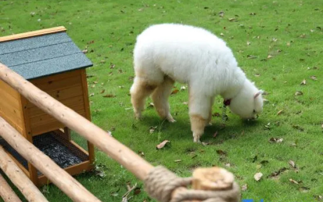 Trip.com Group Country Retreats(Guangzhou Yijingzhuangyuan Joint Resort)