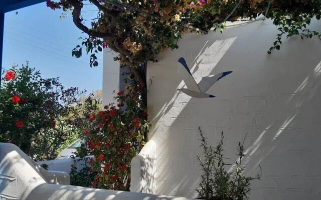 Pelagos Studios