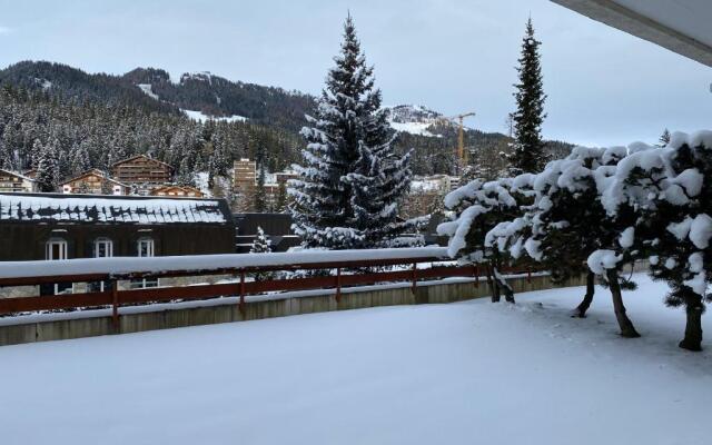 Sapin rouge B37