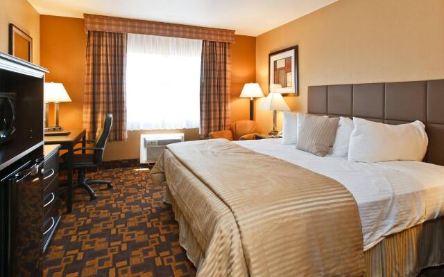 Quality Inn & Suites Denver Stapleton