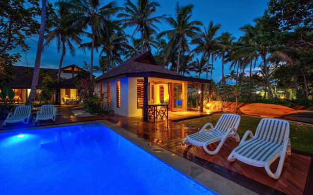 Maui Palms