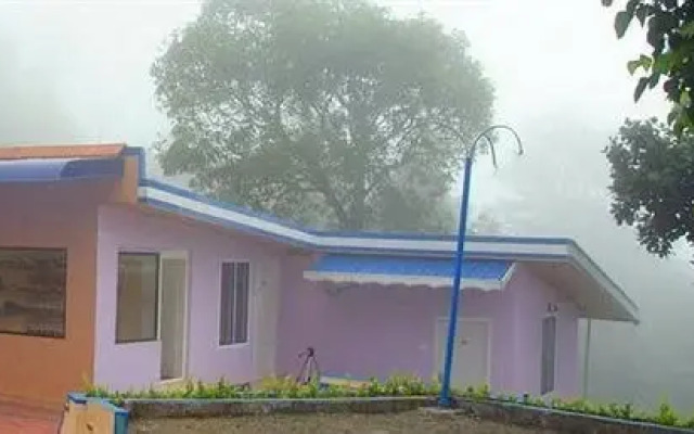Mist Land