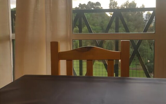 La Nueva Marietta - Apart Friendly