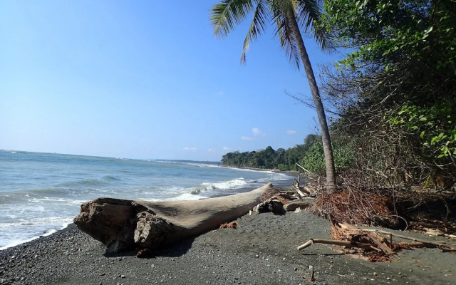 Iguana Lodge Beach Resort