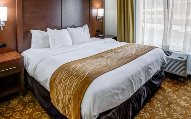 Comfort Suites Kansas City - Liberty
