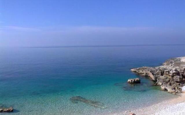 Apartments Danilo 48