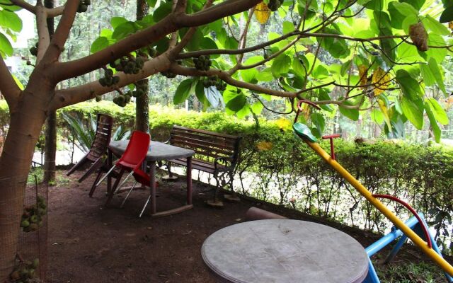 OYO 14807 Hotel Yercaud The Raintrees