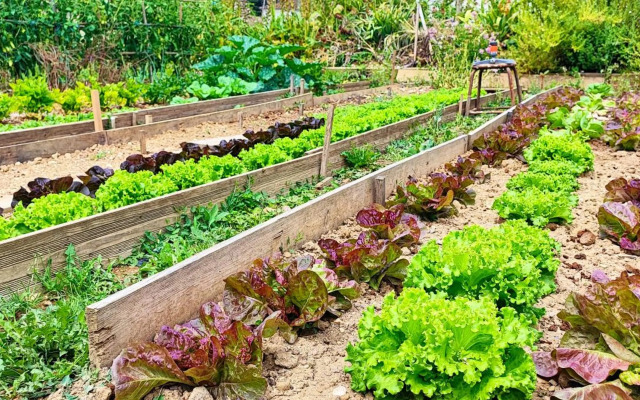 Grand Hôtel Pélisson