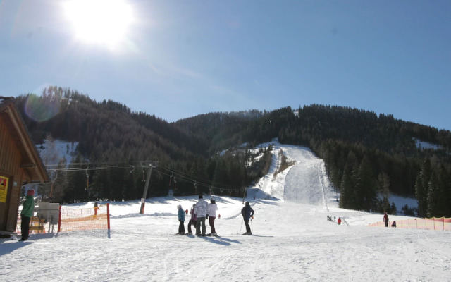 Wooden Chalet in Hohentauern Near ski Area