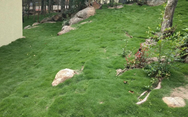 The Brook - Resorts & Spa - Yercaud