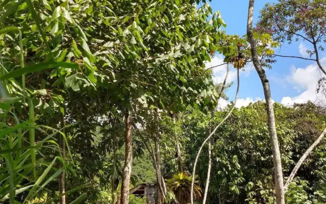Rancho Texas Ubatuba