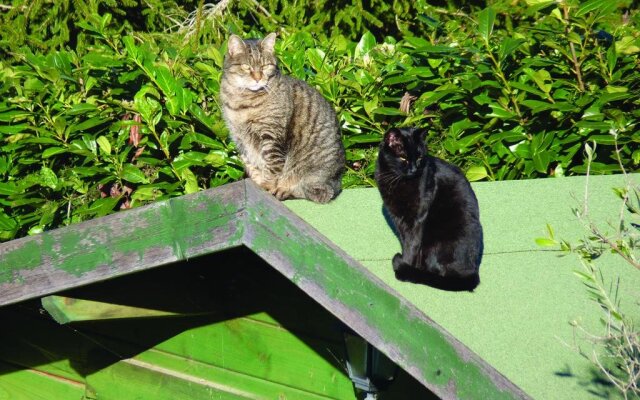 Bed and Breakfast I Gatti Del Castello