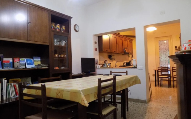 B&B Falcone