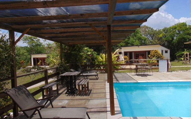 Gumbo Limbo Jungle Resort