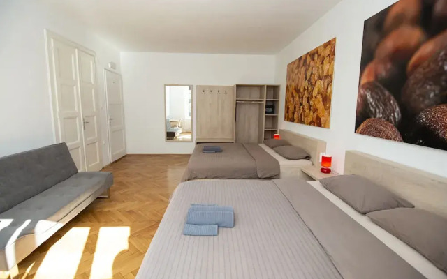 Viva Rooms