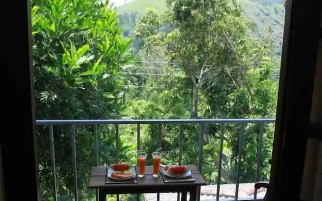 Ella Grand View