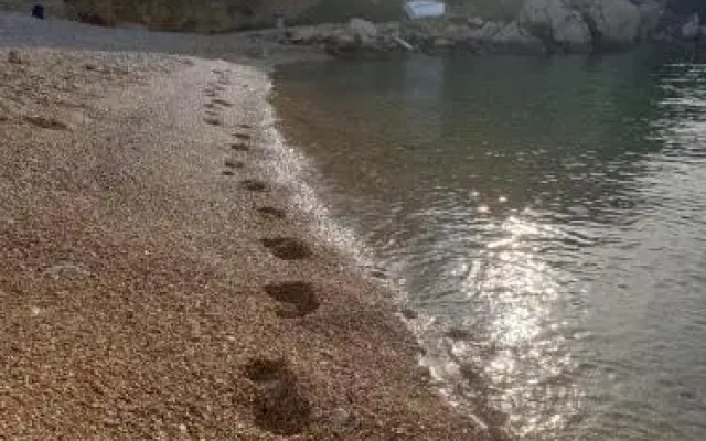 Hippocampus Apartments