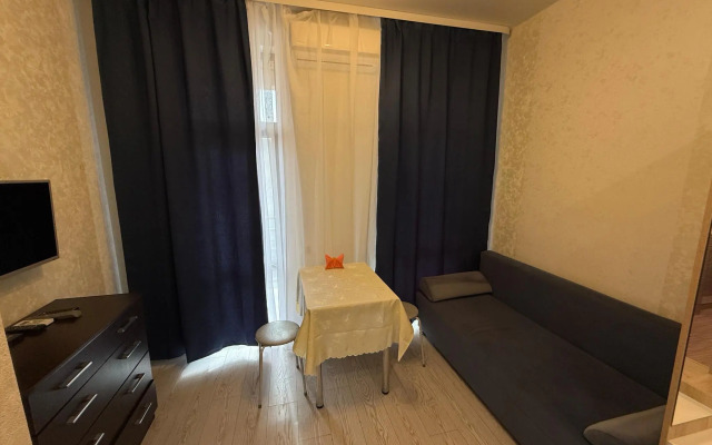 Апартаменты Pluton Aparts в СНТ Агро