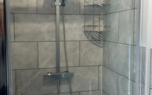 Blue Mackerel - Adults Only