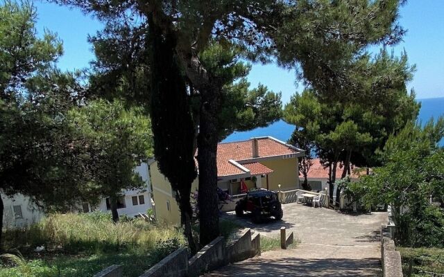 Entire Private Apartment in Ulcinj
