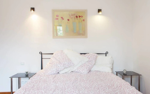 Hirondelle in Charming Village