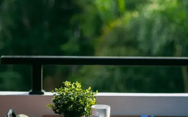 Tabebuia House